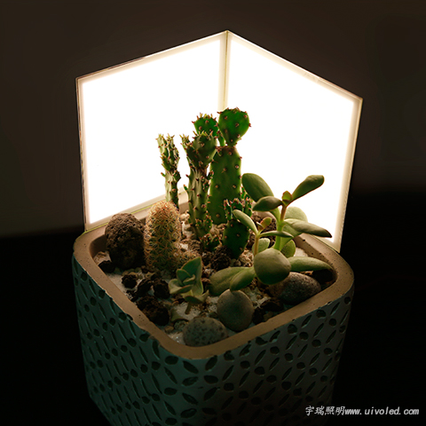 OLED DIY照明面板