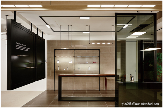 OLED照明面板展示 OLED照明面板展示